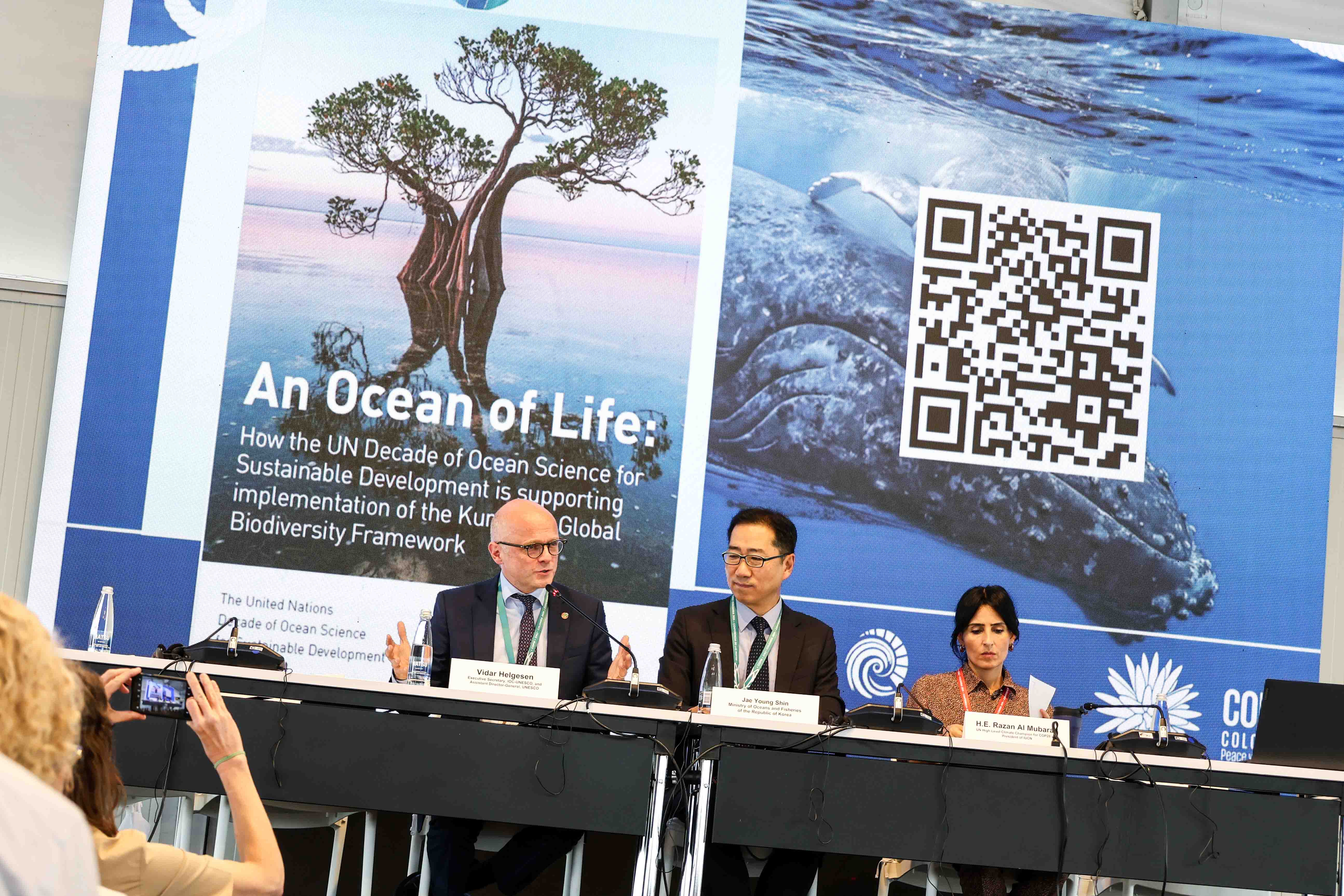 ocean-day-ocean-as-the-great-connector-iisd-earth-negotiations-bulletin